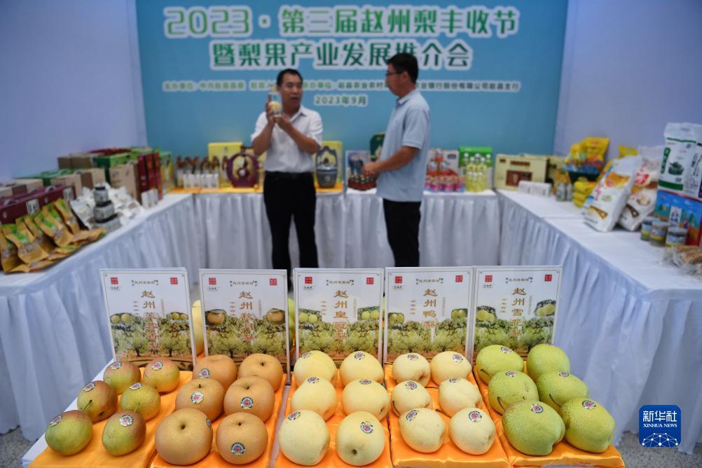 姚记联众斗地主官方首页